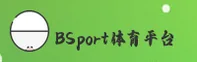 bsport体育官方网站 - 登录入口